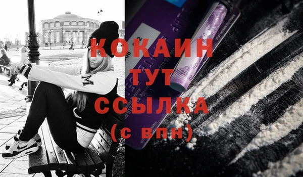 соль ск Верхний Тагил
