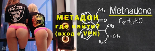 прущие грибы Бородино