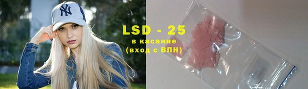 прущие грибы Бородино