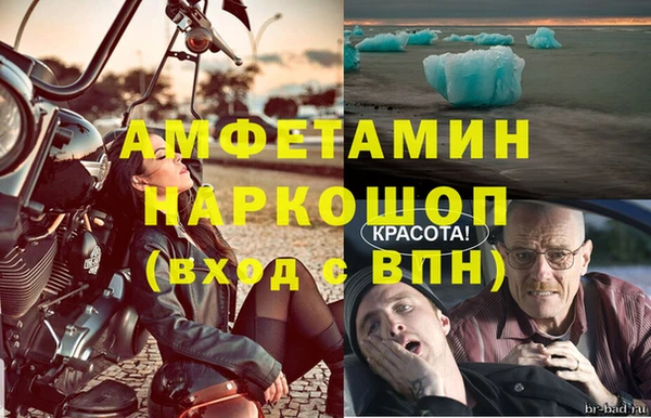 прущие грибы Бородино