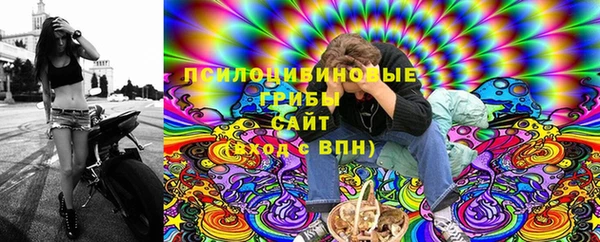 твердый Бронницы