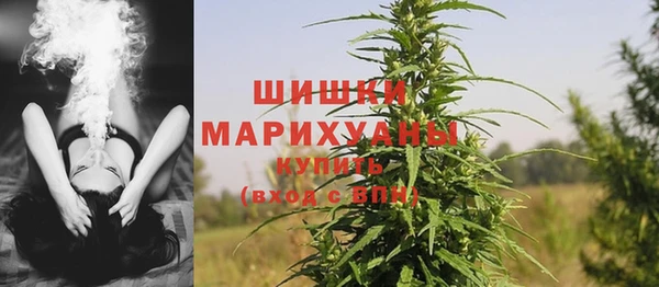 твердый Бронницы
