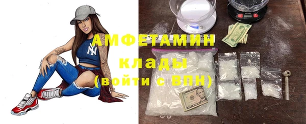 прущие грибы Бородино
