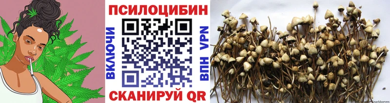 Галлюциногенные грибы Cubensis  Купить закладки  Лабинск 